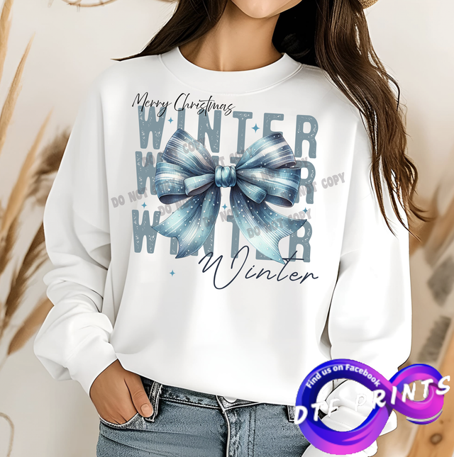 Blue winter bow