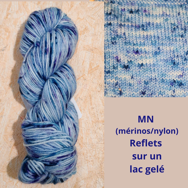 MN Reflets sur un lac gelé