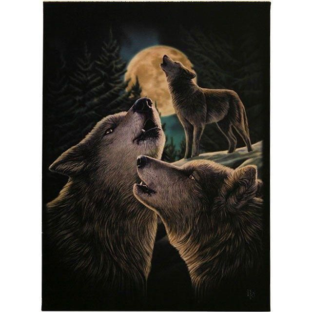 19x25cm Wolf Song Canvas Plaque By Lisa Parker