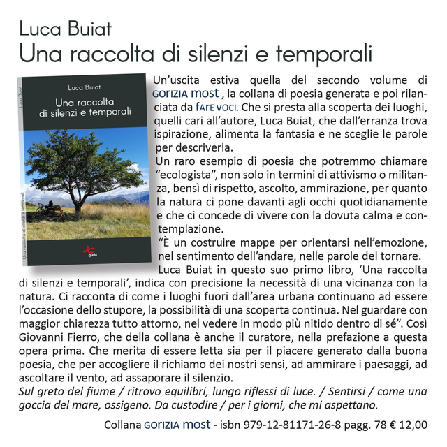 Luca Buiat, "Una raccolta di silenzi e temporali", qudulibri 2024