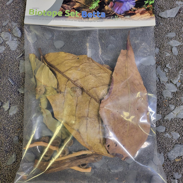 Biotope set betta 8715897350047