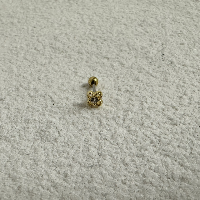 PIERCING D’OREILLE DESLUMBRANTE 