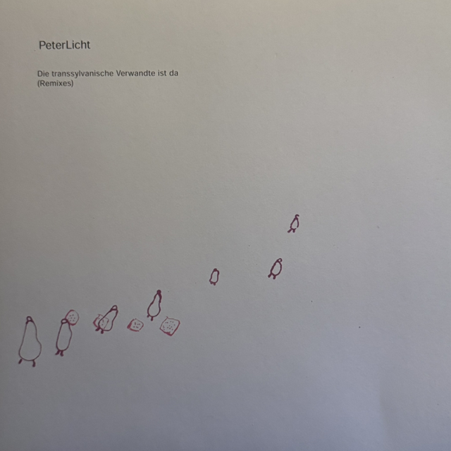 DIE TRANSSYLVANISCHE VERWANDTE IST DA - Maxi - Fehldruck