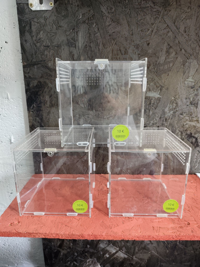 Terrarium Plexiglass