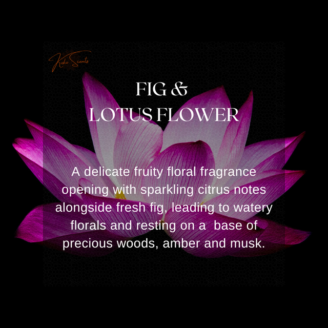 Fig & Lotus Flower (JM) Wax Melt Snapbar 