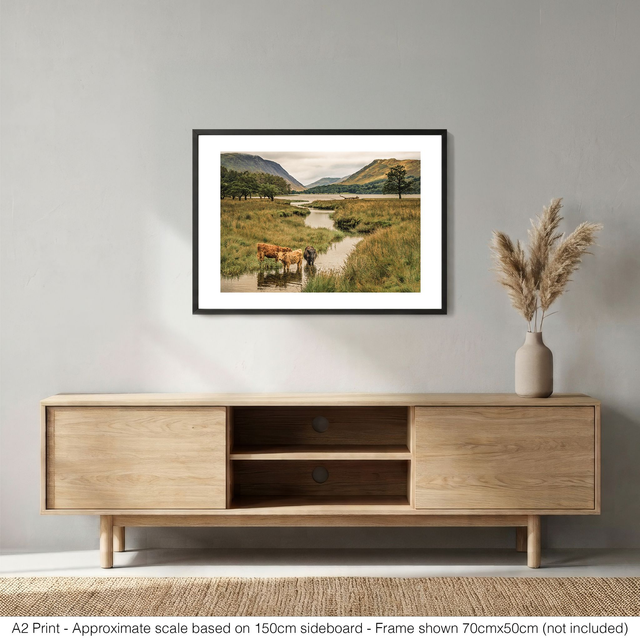 Three Cows at Buttermere Lake
