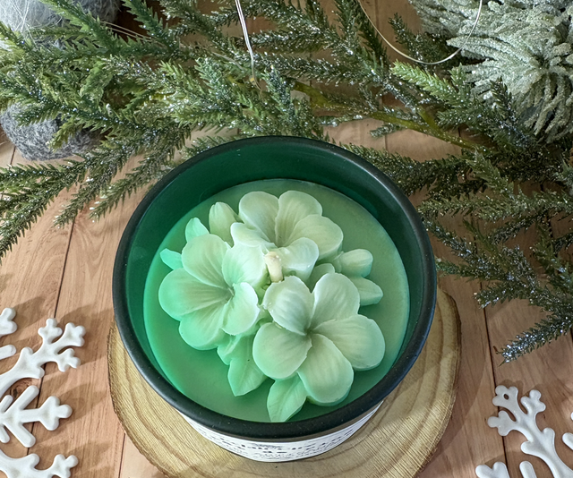 Forêt de pins 🌲 - 93gr