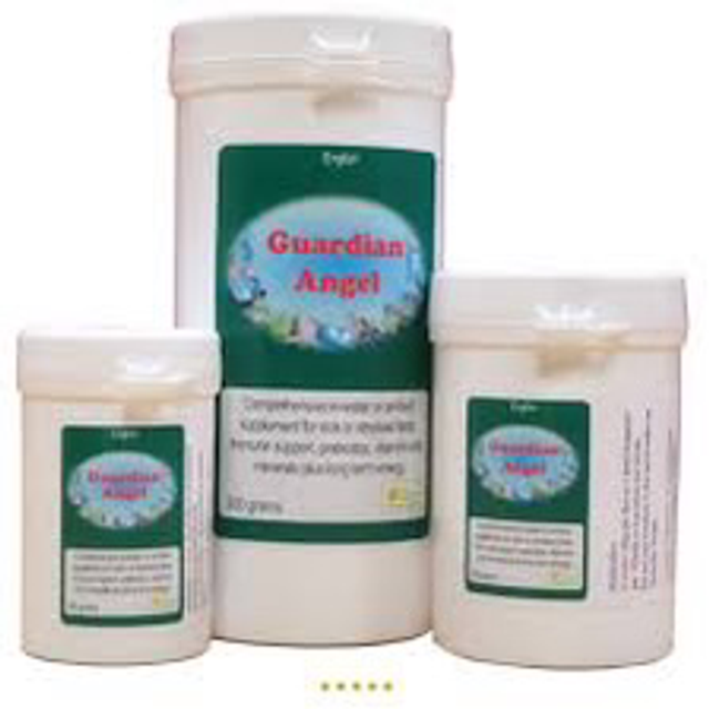 Guardian Angel. - sick bird supplement