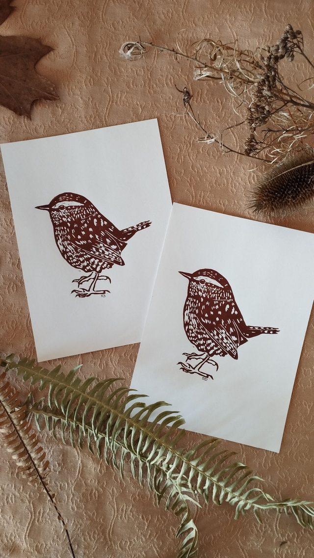 Illustration Oiseau Troglodyte mignon en Linogravure, couleur marron