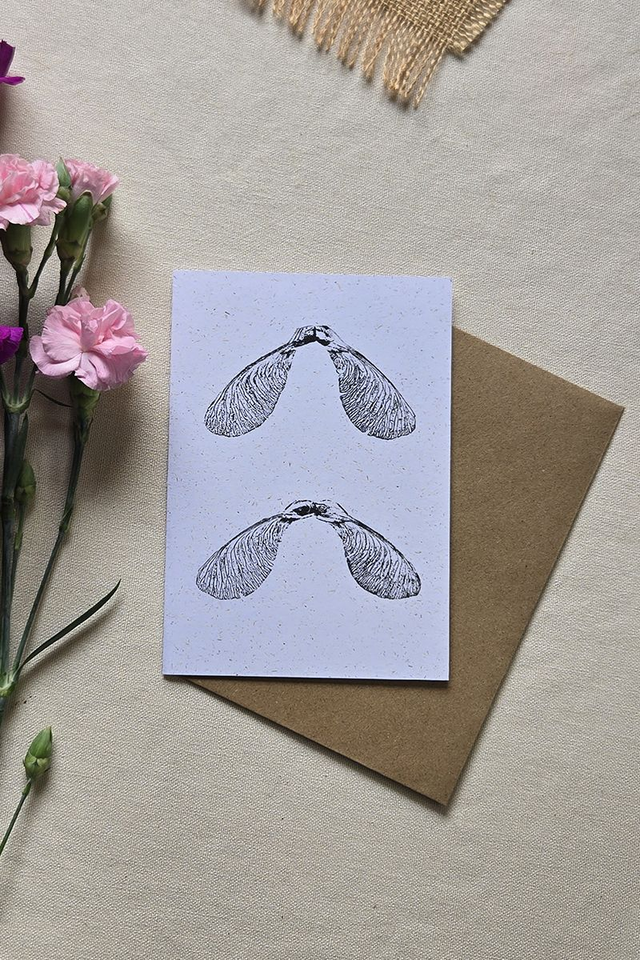 Carte postal monotype - Disamares d&#039;érable