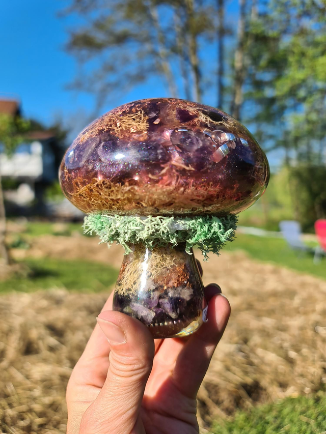 Champignon géant 🍄 Mystère de la forêt 