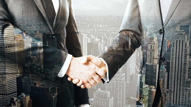 Piani di Holding e Strutturazione Societaria (1 ora)