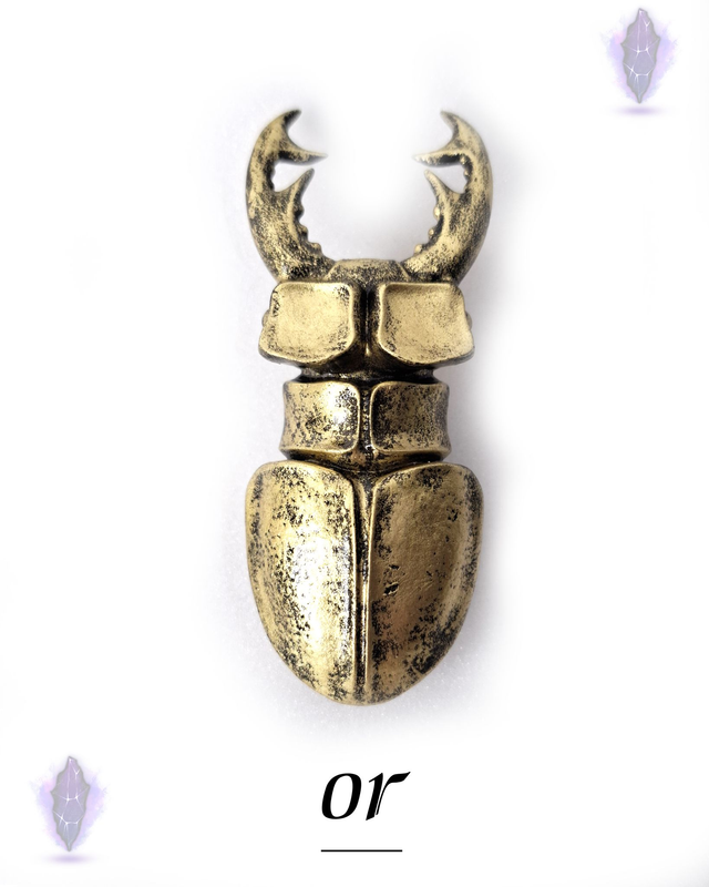 Broche | Lucane  Spéciaux 