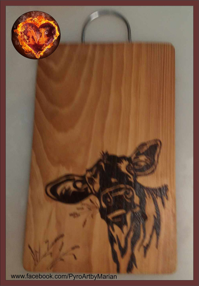 Jersey Belle Heifer 🐮❤