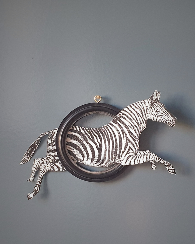 Zebra -cadre et image découpée