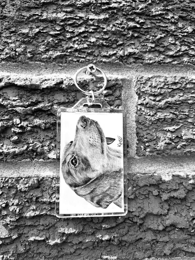 Dachshund Keyring