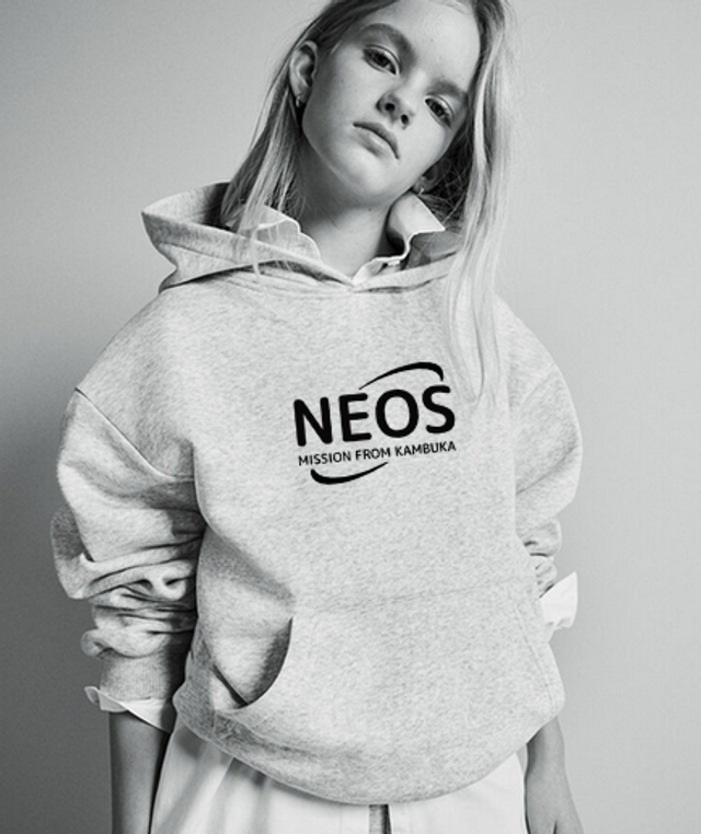 Pusa helehall 170+ 14 AASTAT JA ROHKEM