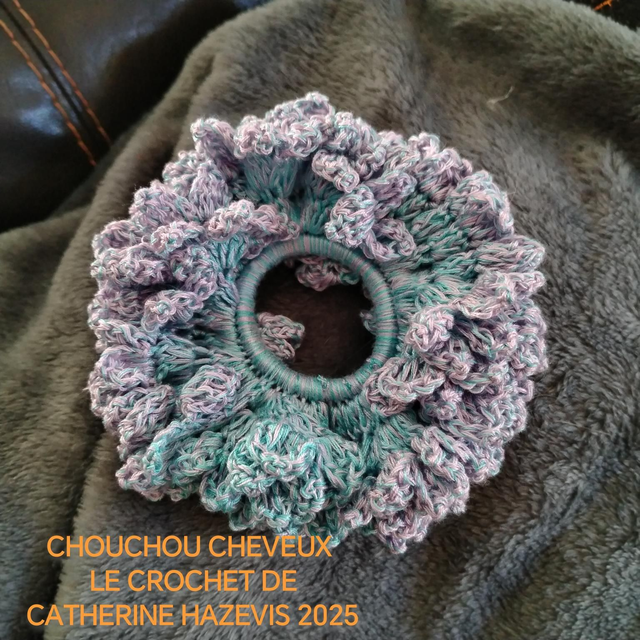 2025 CHOUCHOU CHEVEUX 