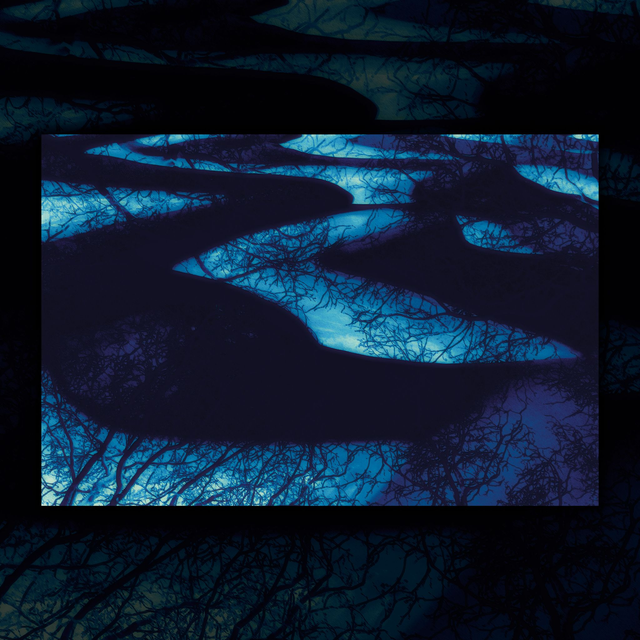 "A luz do lago" Liriz, 2024 | Reprodução print fine art 30 x 20 cm