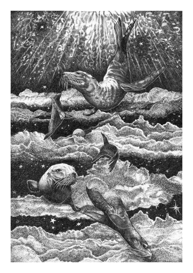 Une joie dans le ciel !