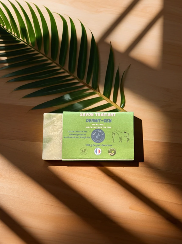 SAVON TRAITANT AU TEA TREE PROBLEME DE PEAU