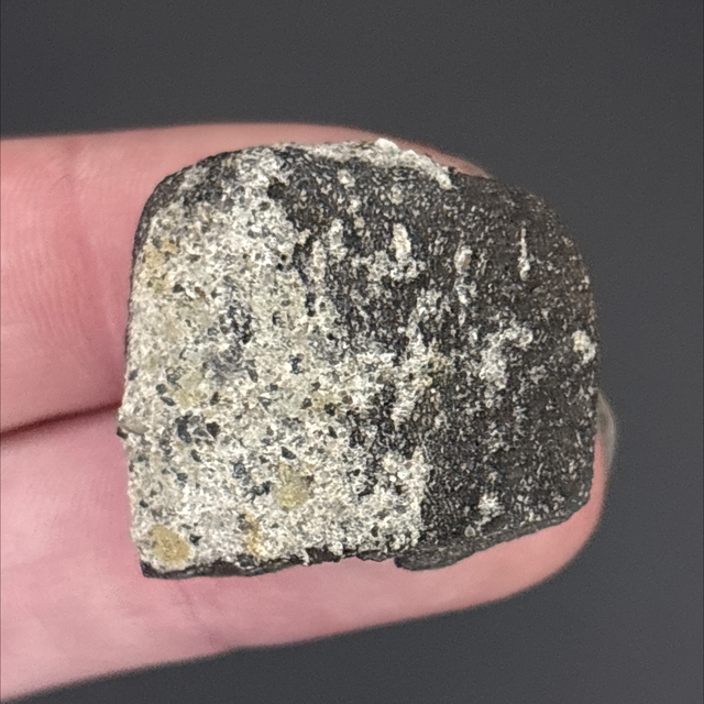 Stegosaurus Bone Fragment 