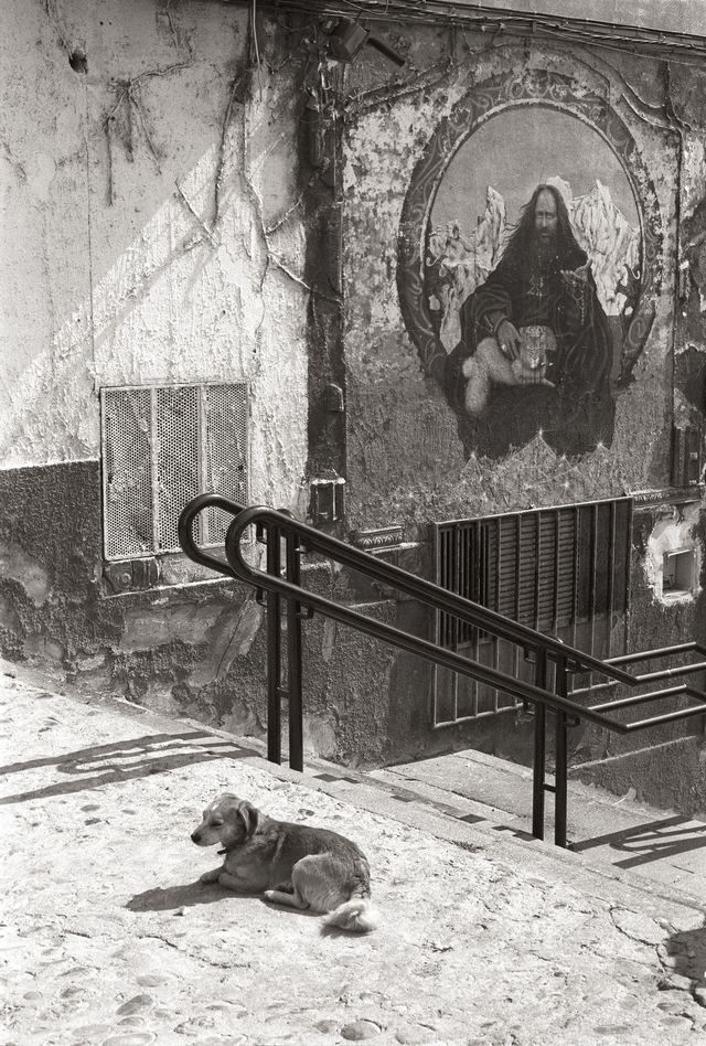 Photo "Roch" sur support rigide 3mm