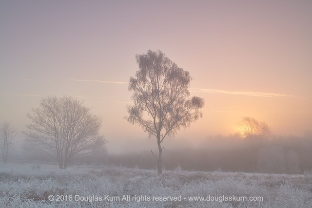 Chobham Common Sunrise