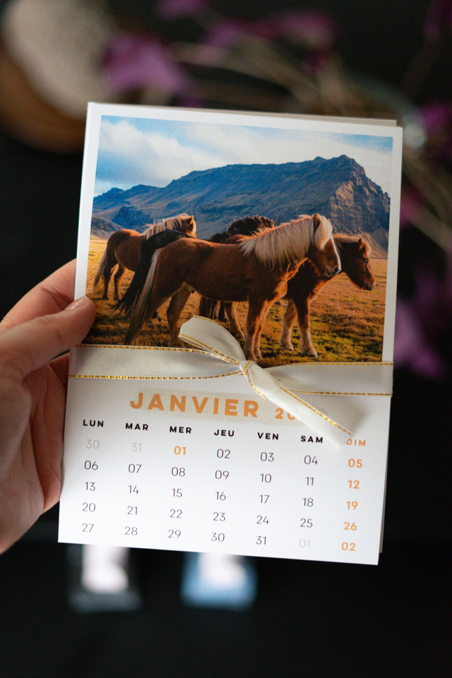 Calendrier Islande