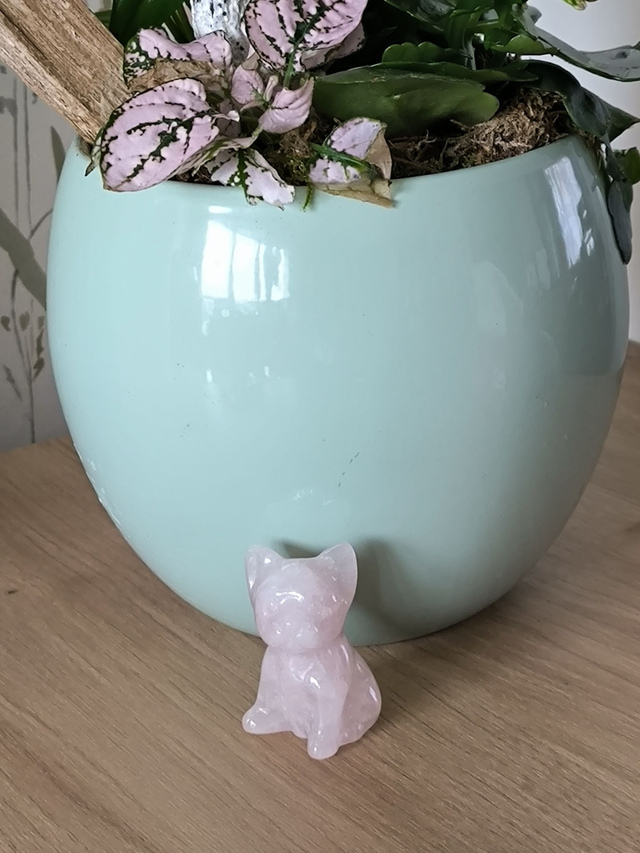 Bouledogue Quartz Rose