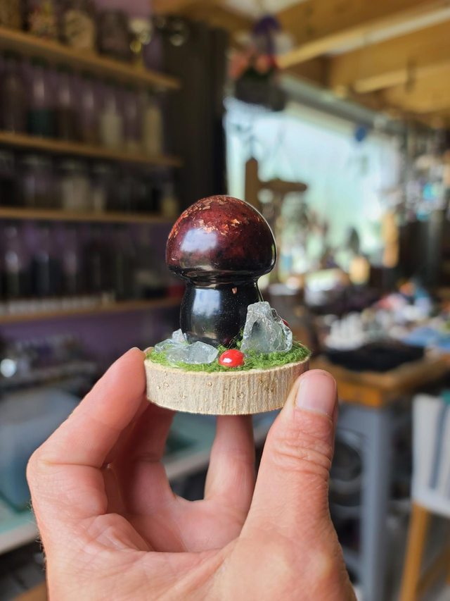 Mini champignon 🍄 N°10