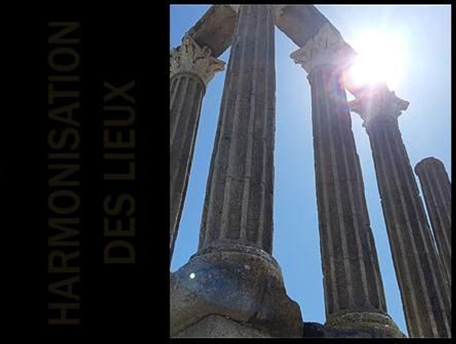 Harmonisation lieu (étude géopathique + soin)