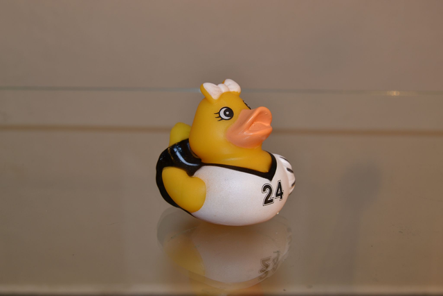 Madame canard sportive