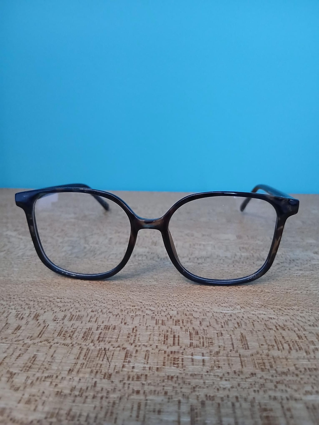 Monture Opal 405 C67 51×16