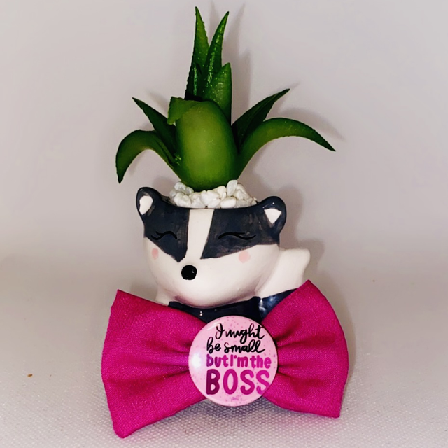 I may be small but I’m the boss 