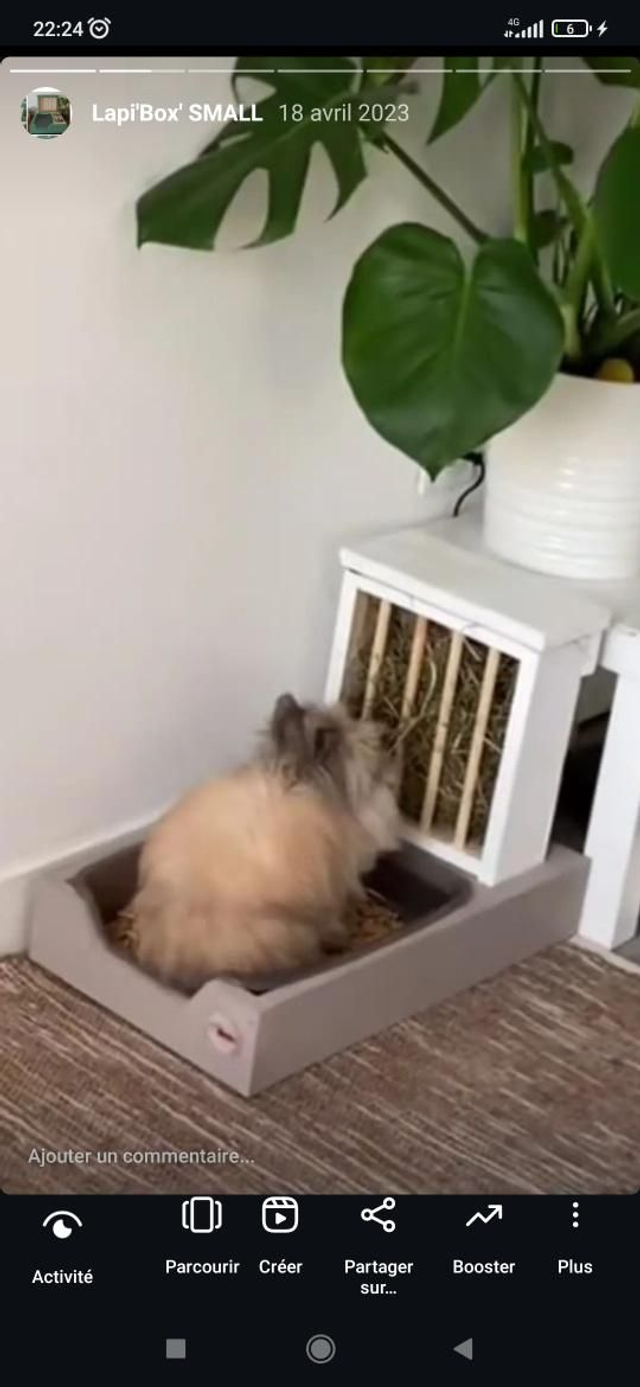 Lapi'Box Small sans gamelles