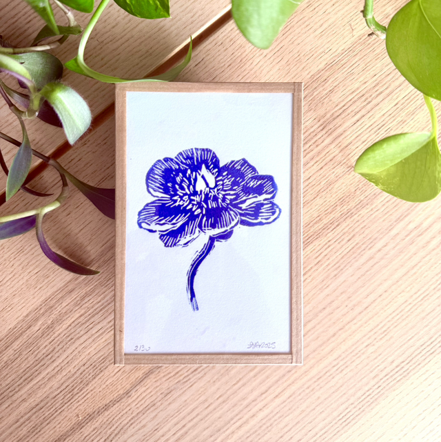 Pivoine outre-mer - petit cadre 10x15