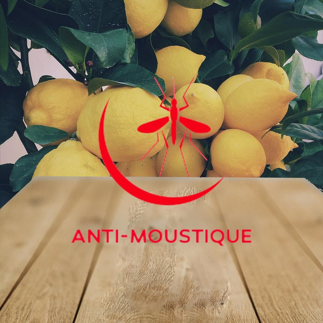 Fondant Anti pique citronnelle 