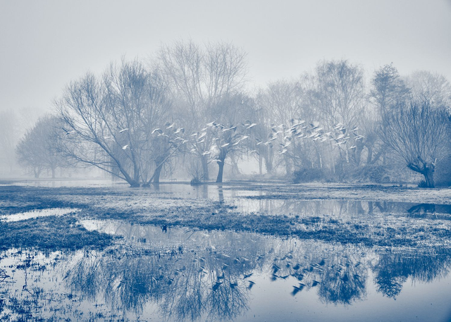 Echoes Of Flight