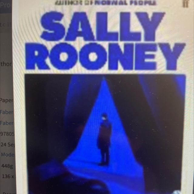Intermezzo Sally Rooney (Hardback)