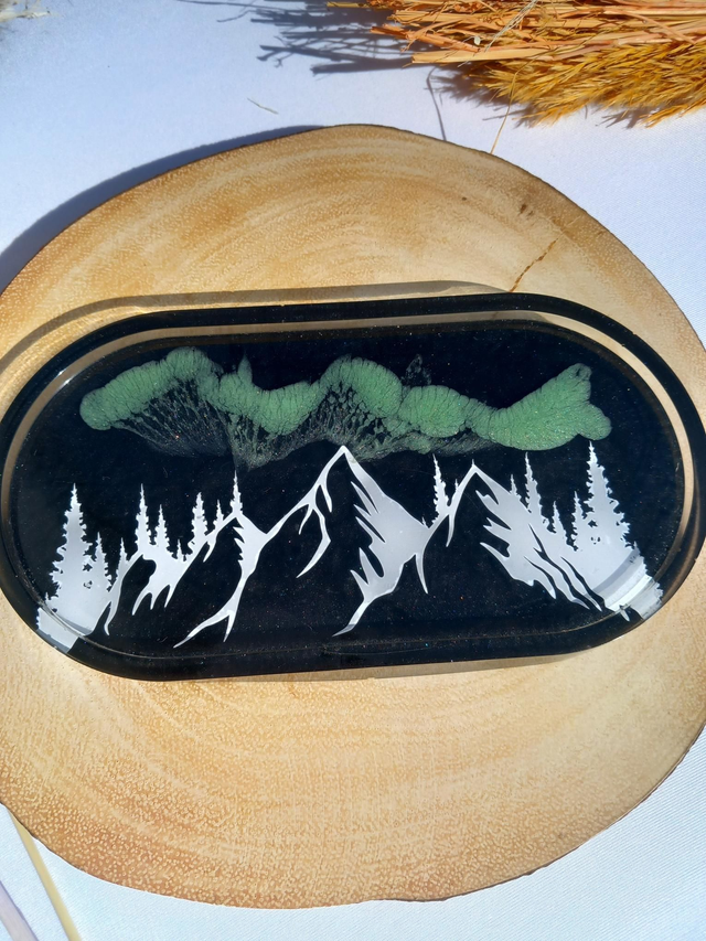 Vide poche Aurora (1)