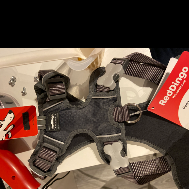 Harnesses RedDingo-M