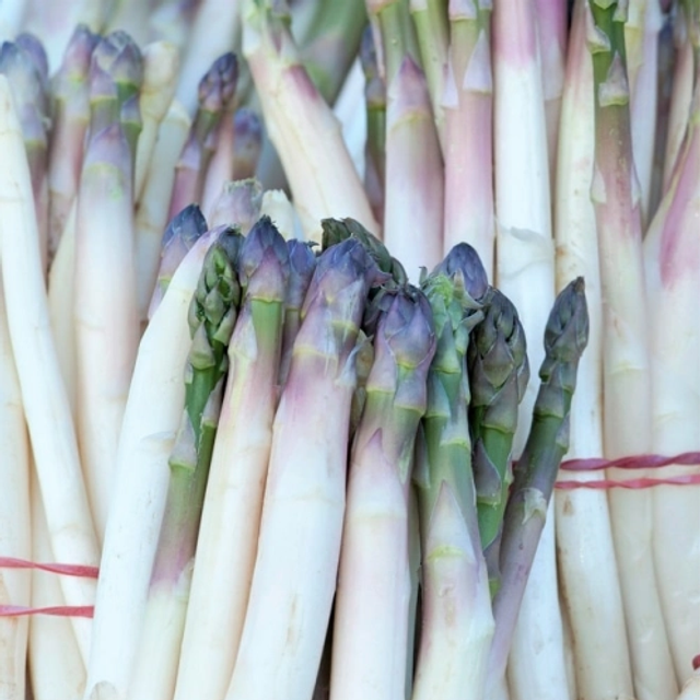 Asperge Argenteuil