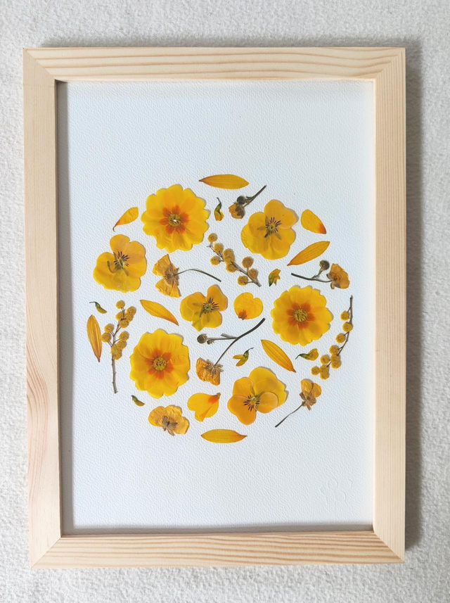 Herbier de fleurs pressées 