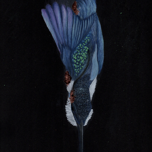 Kingfisher Sparkles - “From Darkness” series