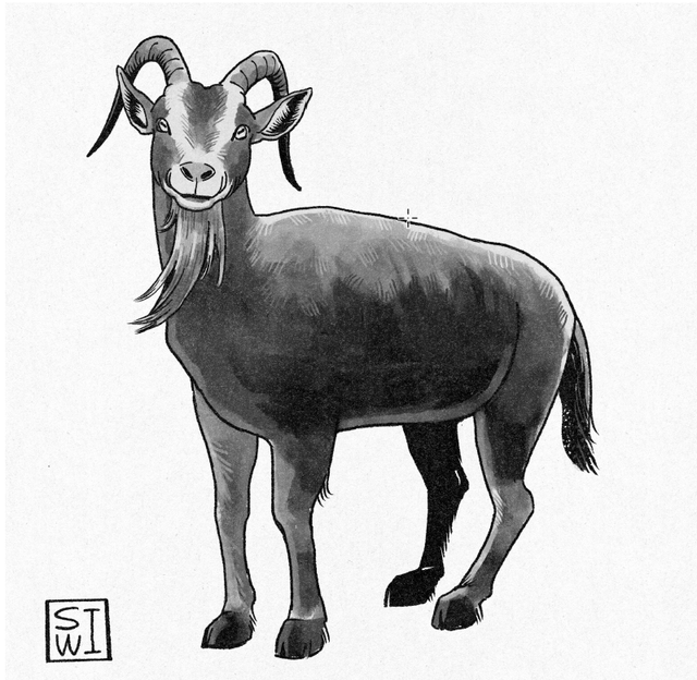 Goatee Goat Art Print
