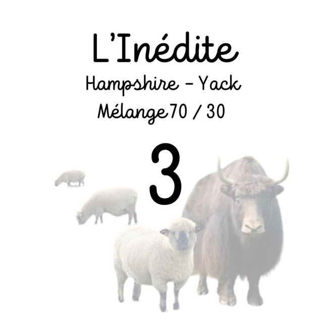 L'Inédite 3 Fils