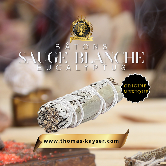 Smudge Sauge blanche &amp; Eucalyptus – bâton