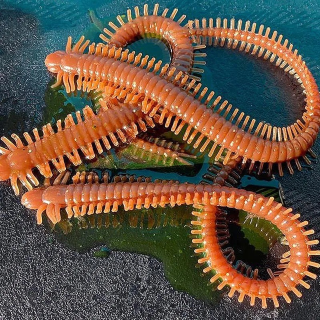 ARTIFICIAL BAITS - KING RAGWORM