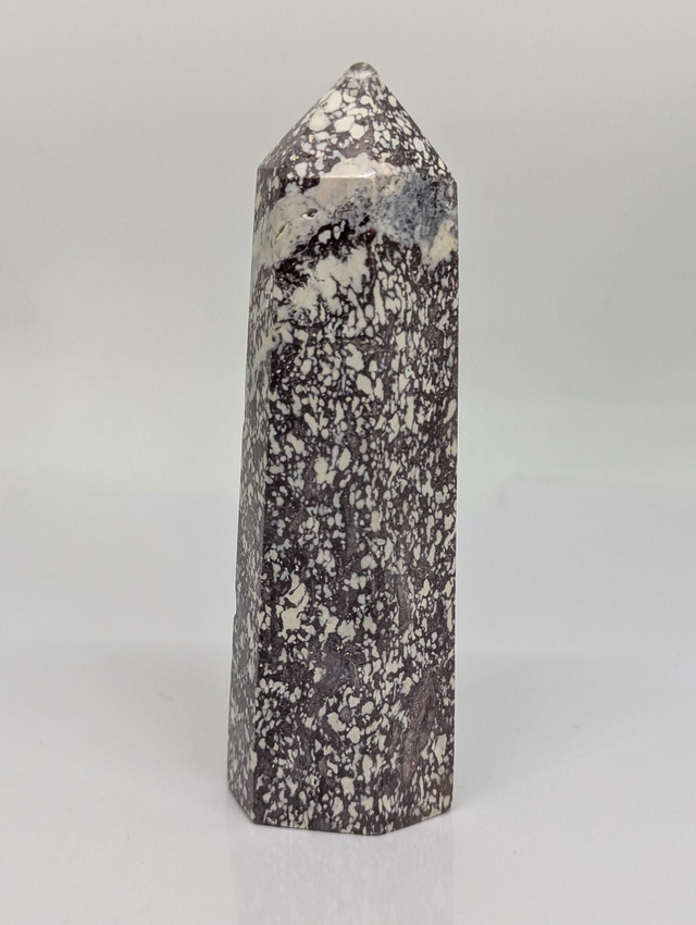 286 Jaspe Léopard 131gr